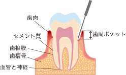 STEP.1検査