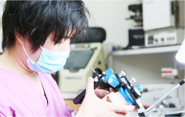 スタッフ紹介|いわき市の歯医者ならしんデンタルクリニック