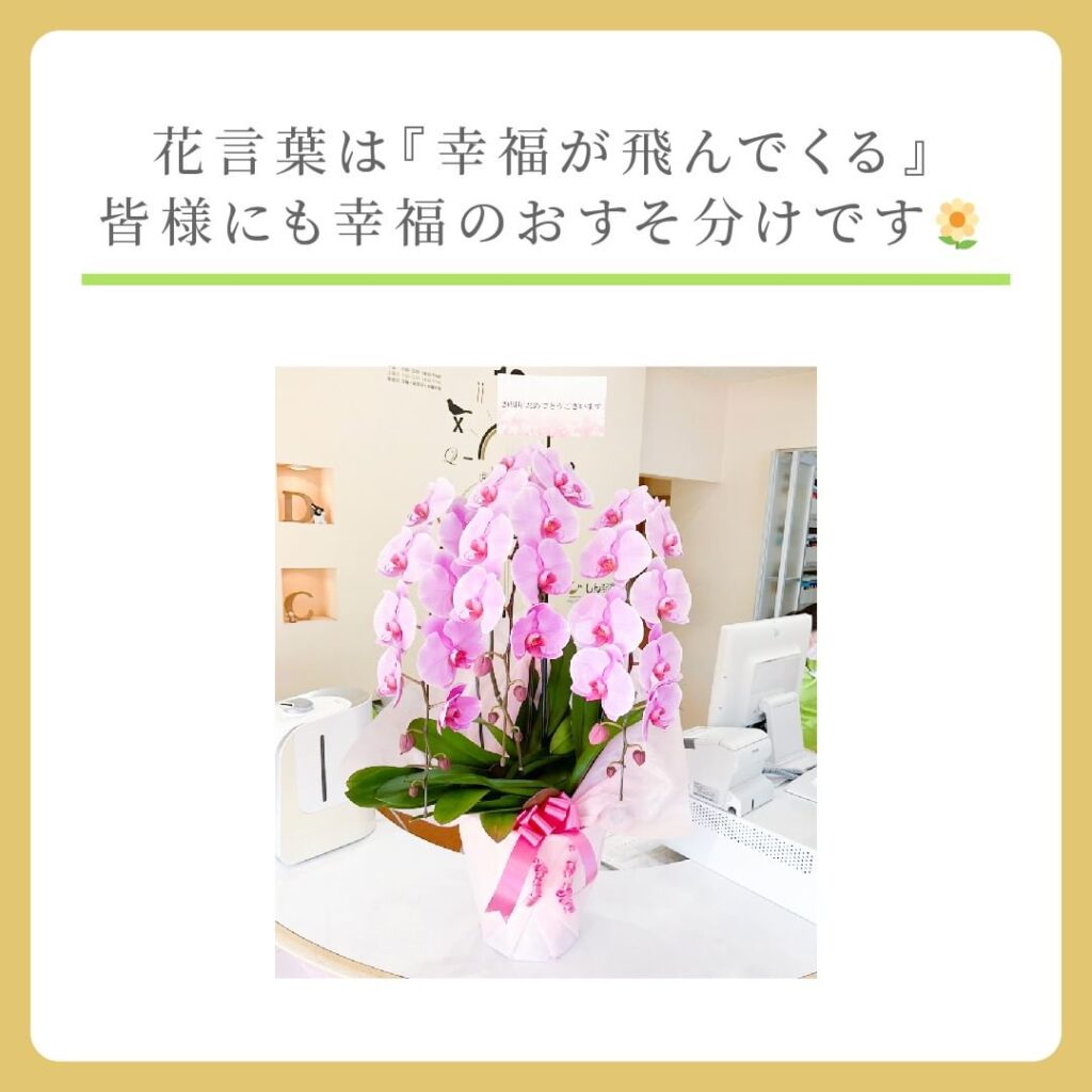 お花